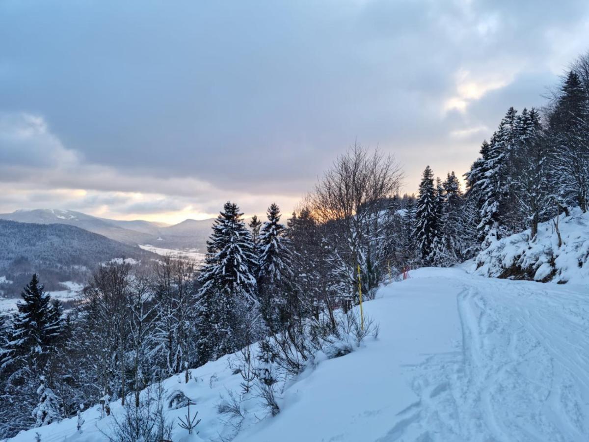 Les Randogodilleurs Avec Jacuzzi A 2Kms Des Pistes Et 350M Du Theatre Du Peuple ! Villa Bussang Eksteriør billede